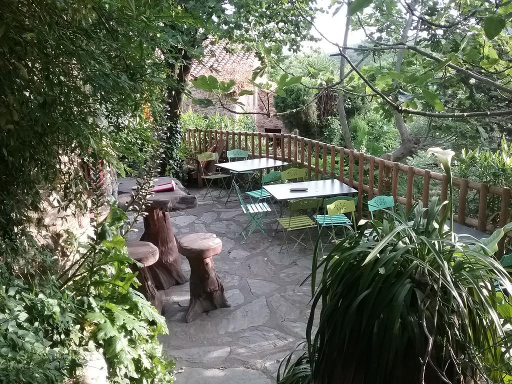 La Figuera Bed and Breakfast Camélas Eksteriør billede
